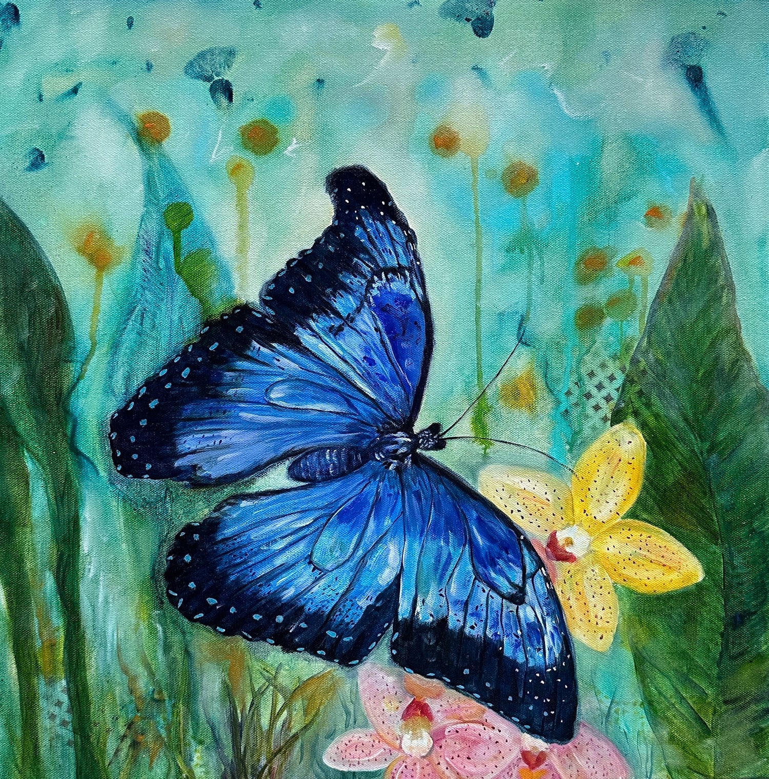 Blue Morpho Butterfly Series