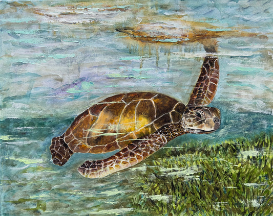 Sea Turtle Reflections - original